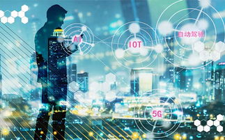 智能赋能 人工智能应用软件开发驱动中国经济高质量发展